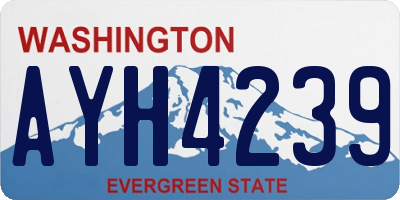 WA license plate AYH4239