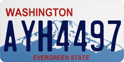 WA license plate AYH4497