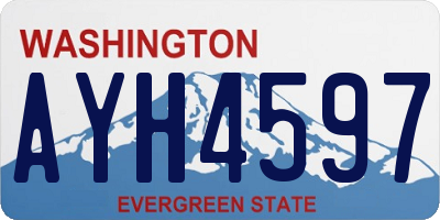 WA license plate AYH4597