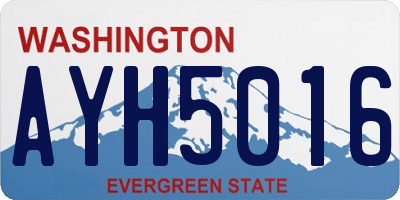 WA license plate AYH5016