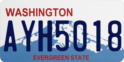 WA license plate AYH5018