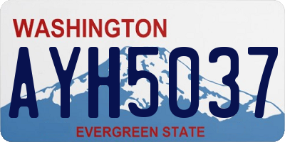 WA license plate AYH5037