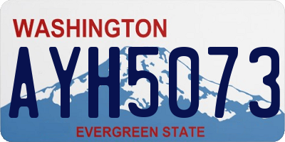 WA license plate AYH5073