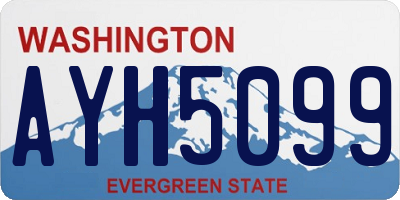 WA license plate AYH5099