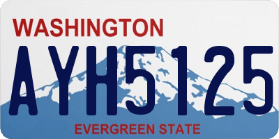 WA license plate AYH5125
