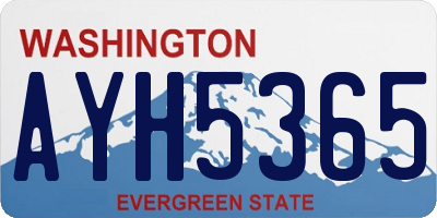WA license plate AYH5365
