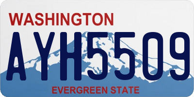 WA license plate AYH5509