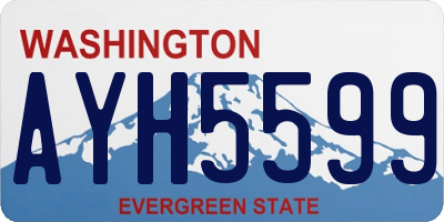 WA license plate AYH5599