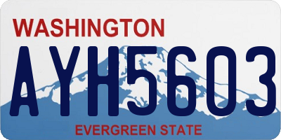 WA license plate AYH5603