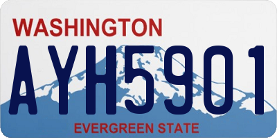 WA license plate AYH5901