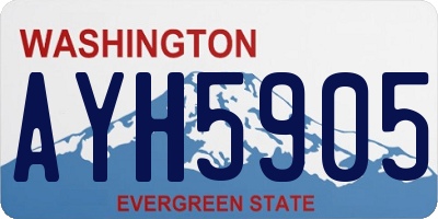 WA license plate AYH5905