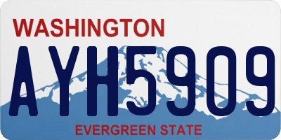 WA license plate AYH5909