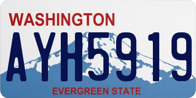 WA license plate AYH5919