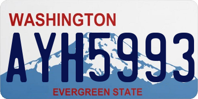 WA license plate AYH5993