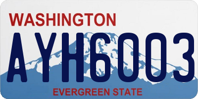 WA license plate AYH6003