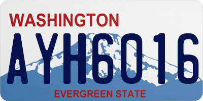 WA license plate AYH6016