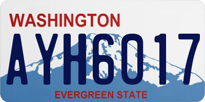 WA license plate AYH6017