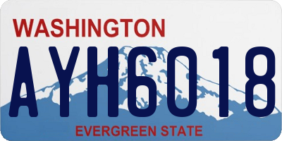 WA license plate AYH6018