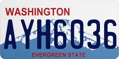 WA license plate AYH6036