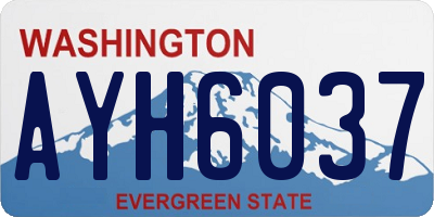 WA license plate AYH6037
