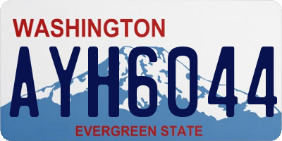WA license plate AYH6044