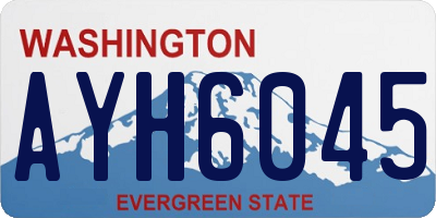 WA license plate AYH6045