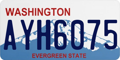 WA license plate AYH6075