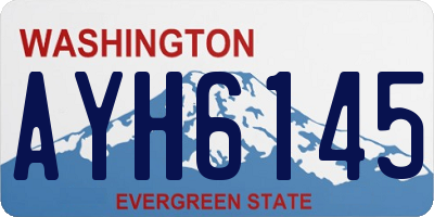 WA license plate AYH6145