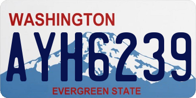 WA license plate AYH6239