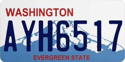 WA license plate AYH6517