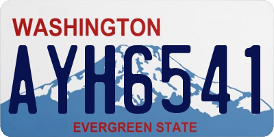 WA license plate AYH6541