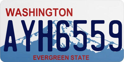 WA license plate AYH6559