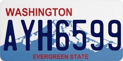 WA license plate AYH6599