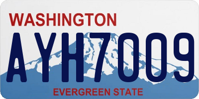 WA license plate AYH7009