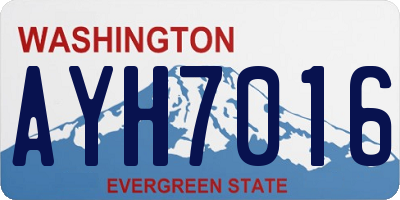 WA license plate AYH7016