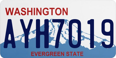 WA license plate AYH7019