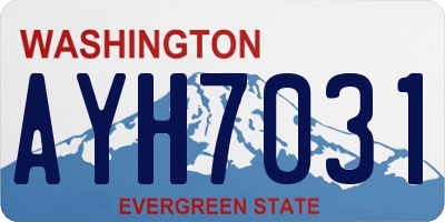 WA license plate AYH7031