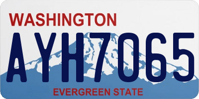 WA license plate AYH7065