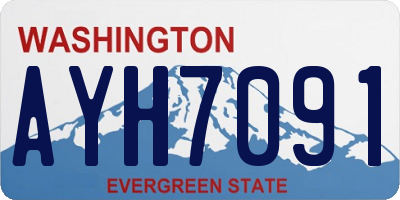 WA license plate AYH7091