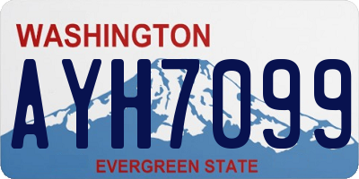 WA license plate AYH7099
