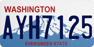 WA license plate AYH7125