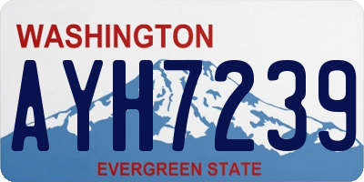 WA license plate AYH7239