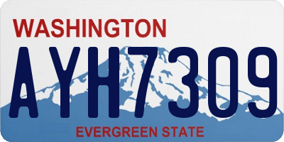 WA license plate AYH7309