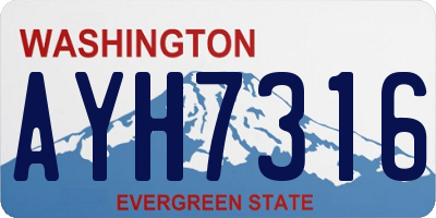 WA license plate AYH7316