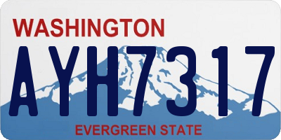 WA license plate AYH7317