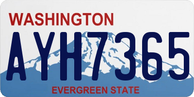 WA license plate AYH7365