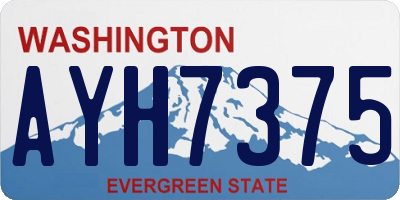 WA license plate AYH7375