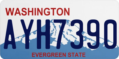 WA license plate AYH7390