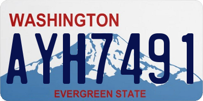 WA license plate AYH7491