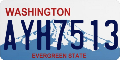 WA license plate AYH7513